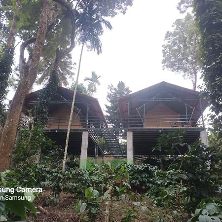 Devi Villa - Plantation Retreat And Forest Getaway Kutta Exteriör bild