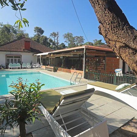 Devi Villa - Plantation Retreat And Forest Getaway Kutta Exteriör bild