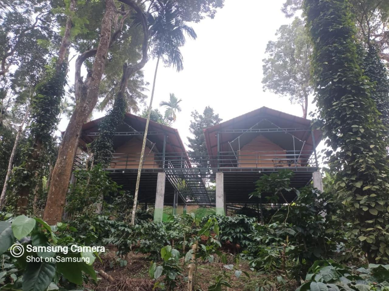 Devi Villa - Plantation Retreat And Forest Getaway Kutta Exteriör bild