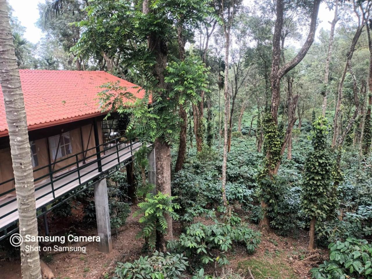 Devi Villa - Plantation Retreat And Forest Getaway Kutta Exteriör bild